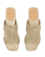 Puri Slides