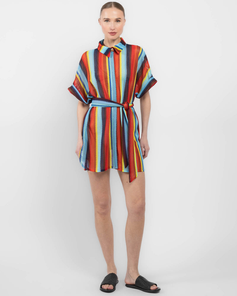 Robe Mini Dress
