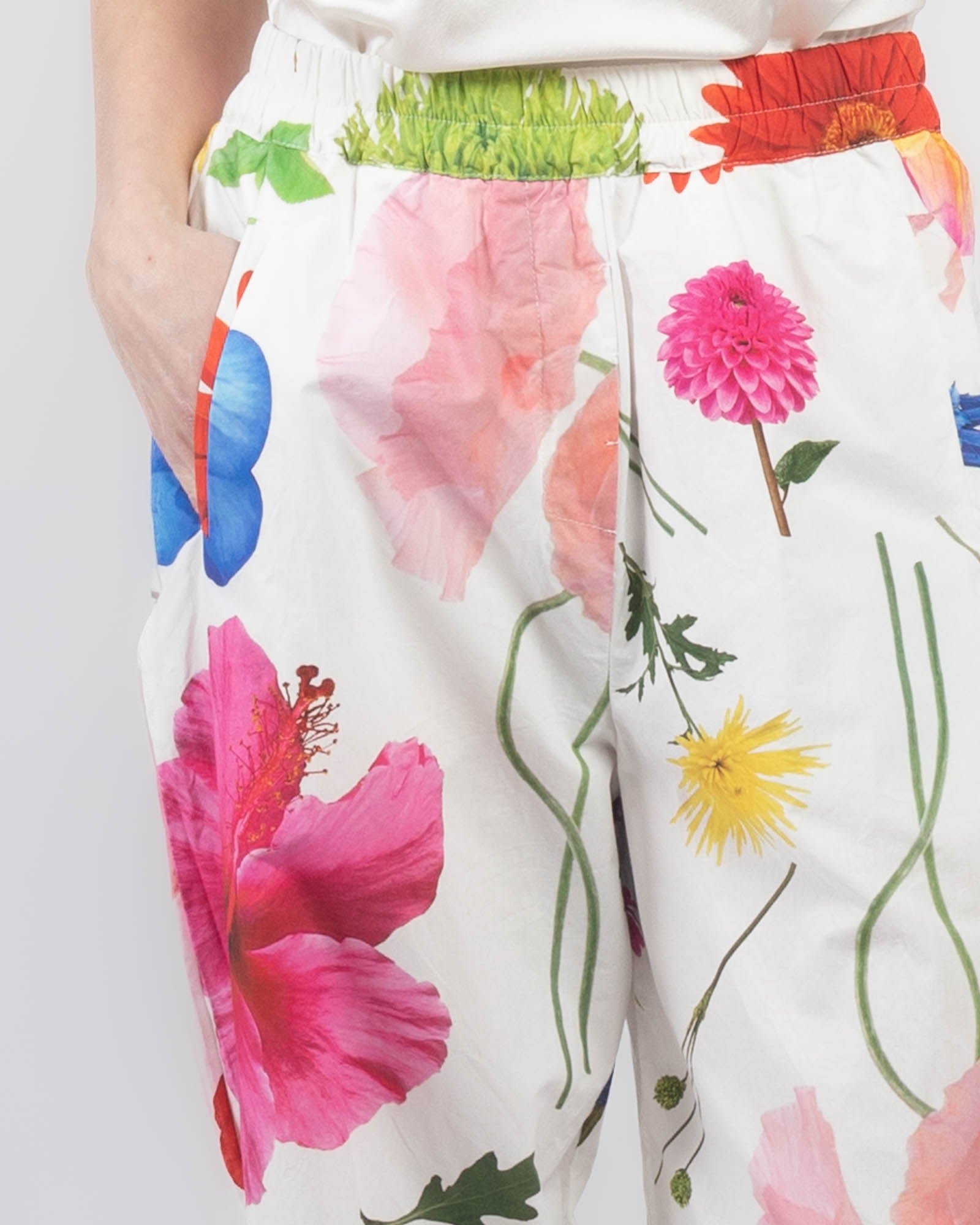 Printed Potamia Pants